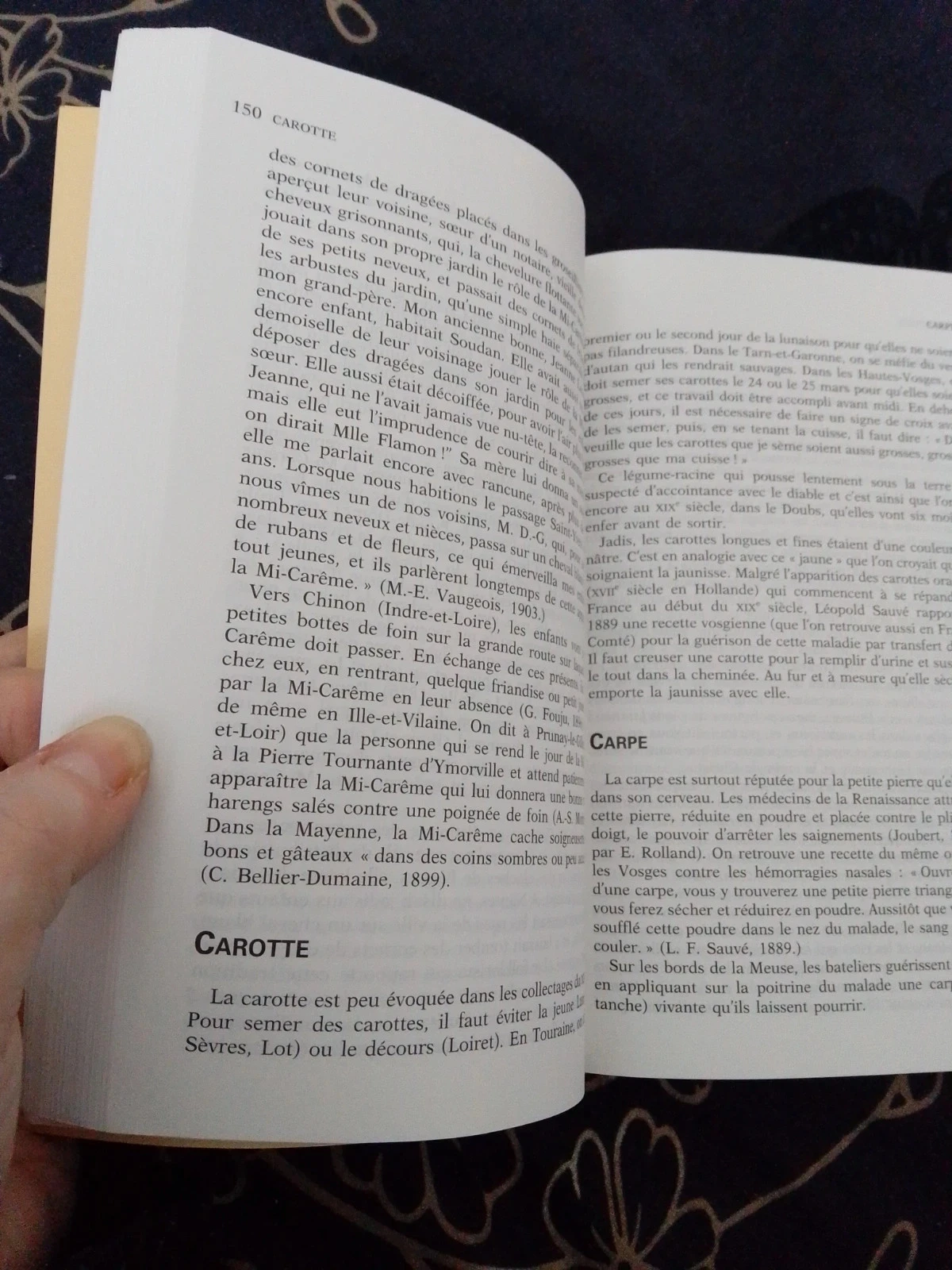 Dictionary of mysterious France popular beliefs superstitions witchcraft magic rites – photo 5